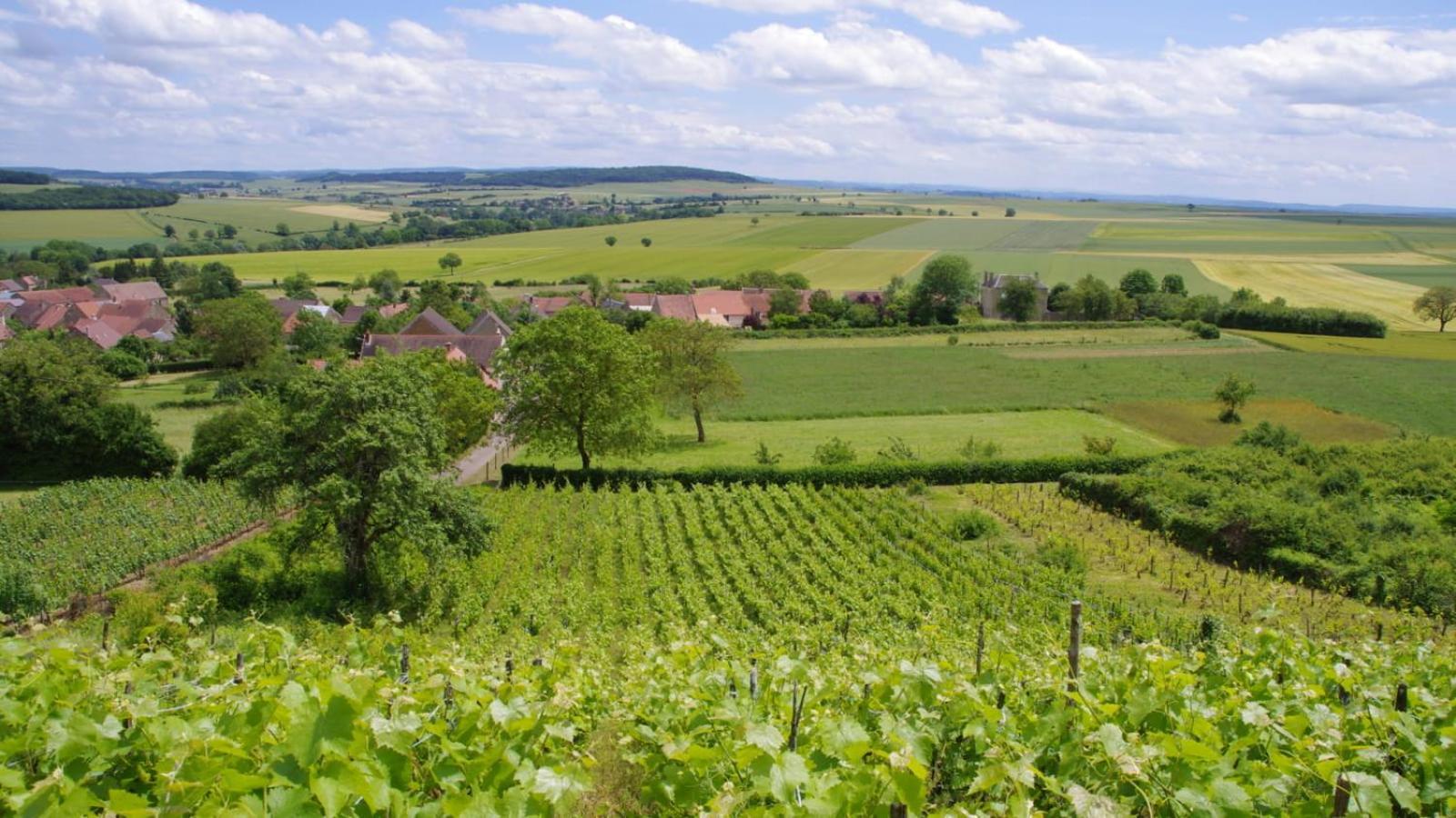 Le Cocon Tannaysien Villa Tannay  Exterior foto